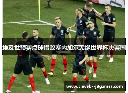 埃及世预赛点球惜败塞内加尔无缘世界杯决赛圈 埃及世预赛点球惜败塞内加尔无缘世界杯决赛圈